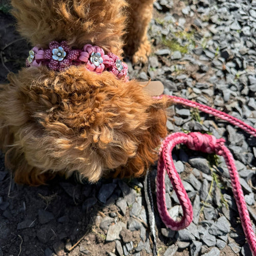 Bloemenhalsband VinoRoze