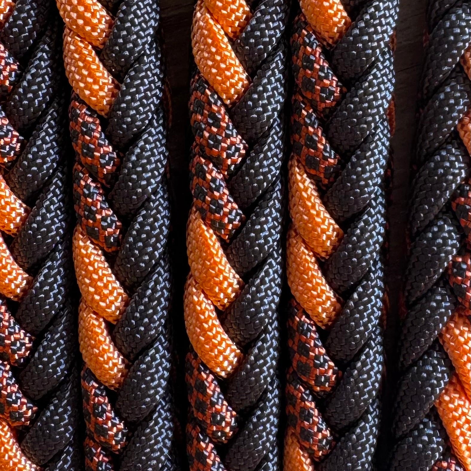 Trainingslijn Solarfox