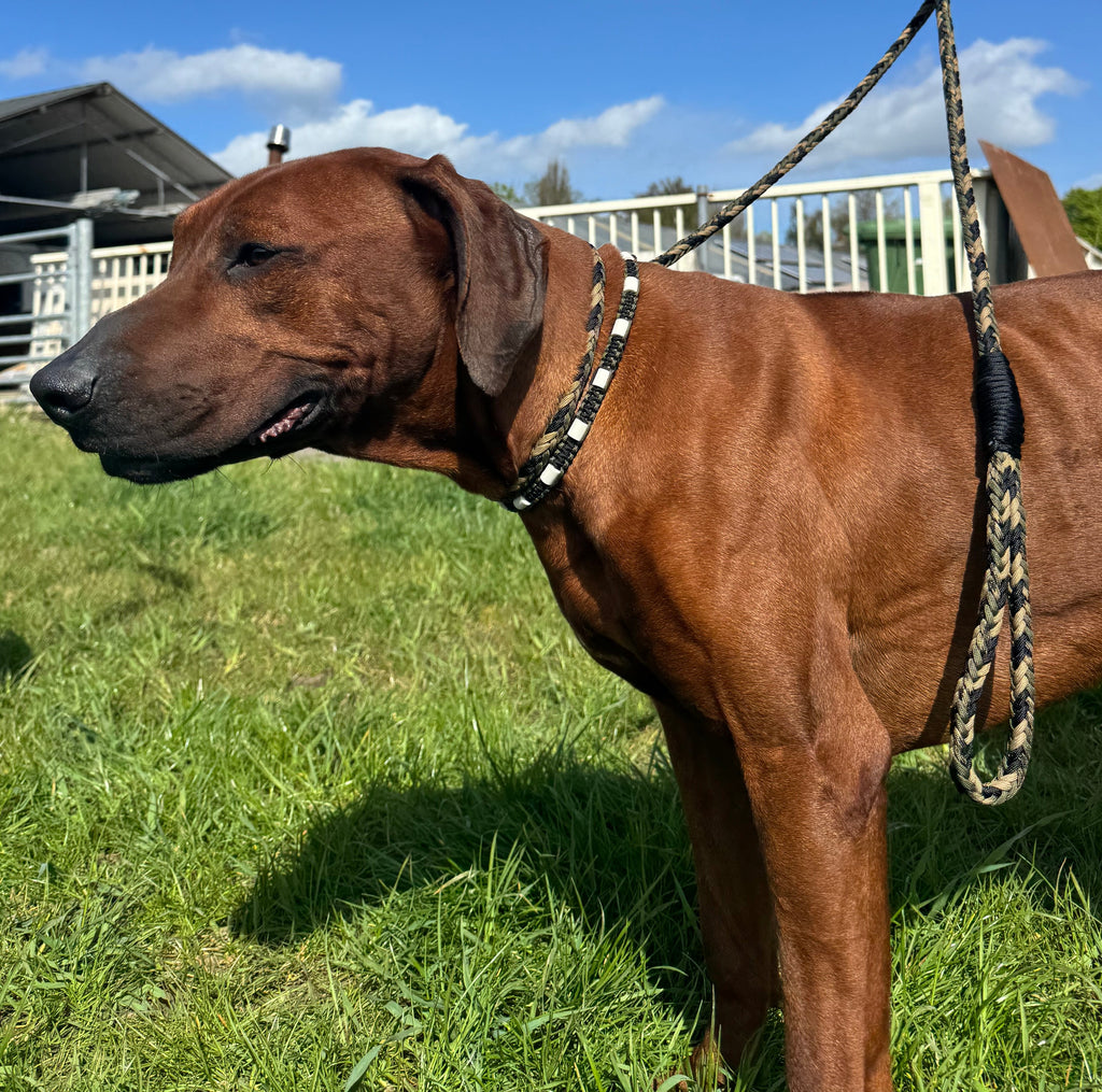 Trainingslijn Camozwart