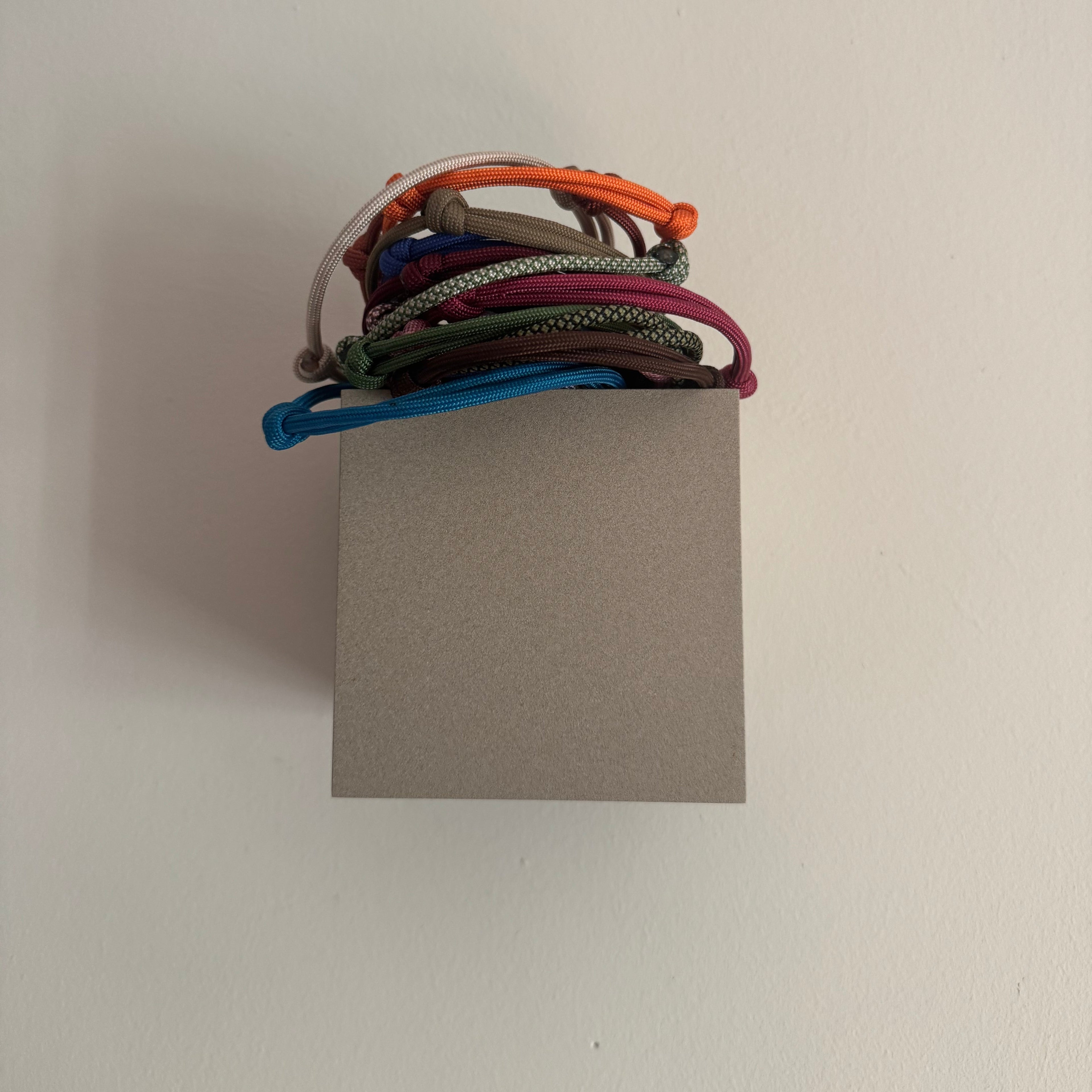 Puppy / kitten herkenningsbandjes