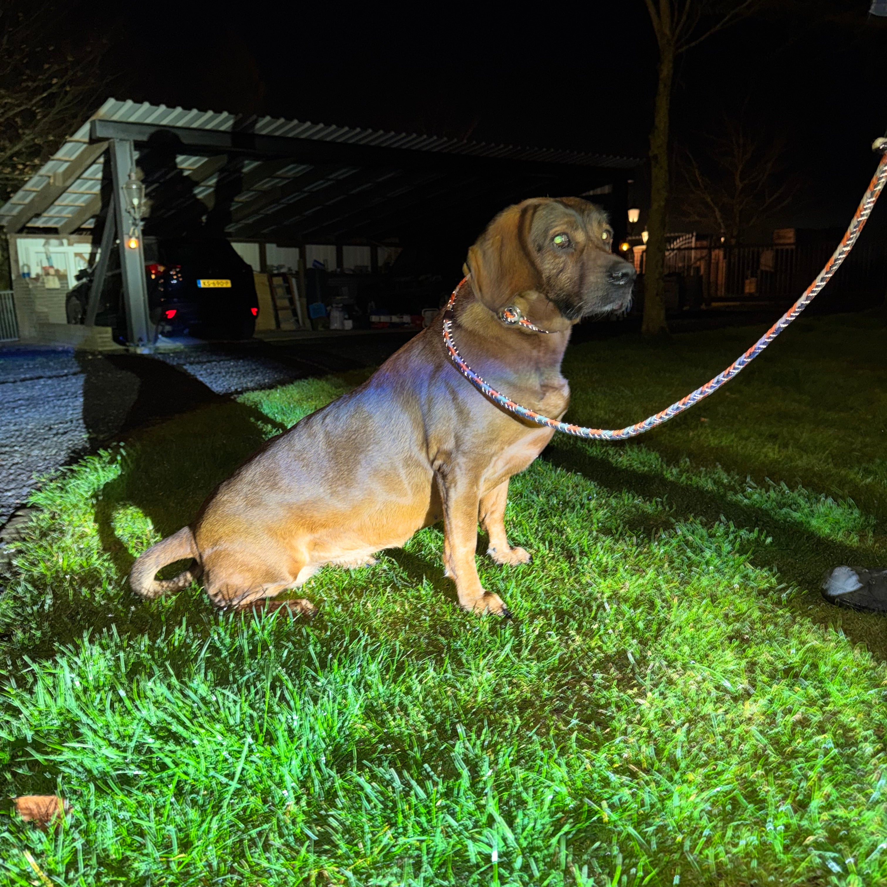 Trainingslijn Reflecterend FoxCafé