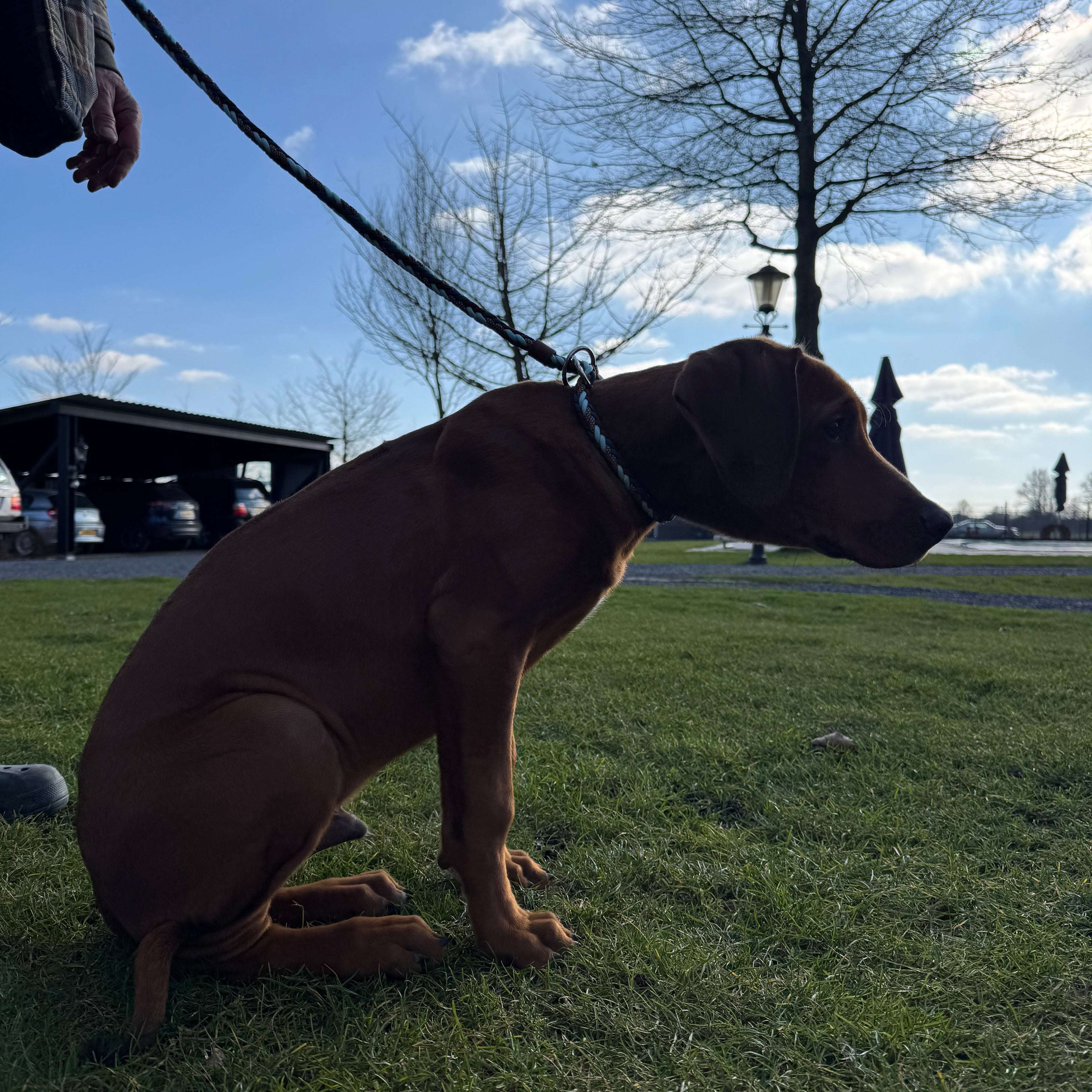 Trainingslijn PetrolChoco