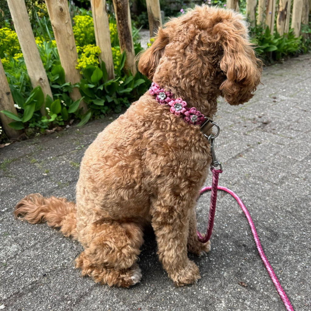 Bloemenhalsband VinoRoze